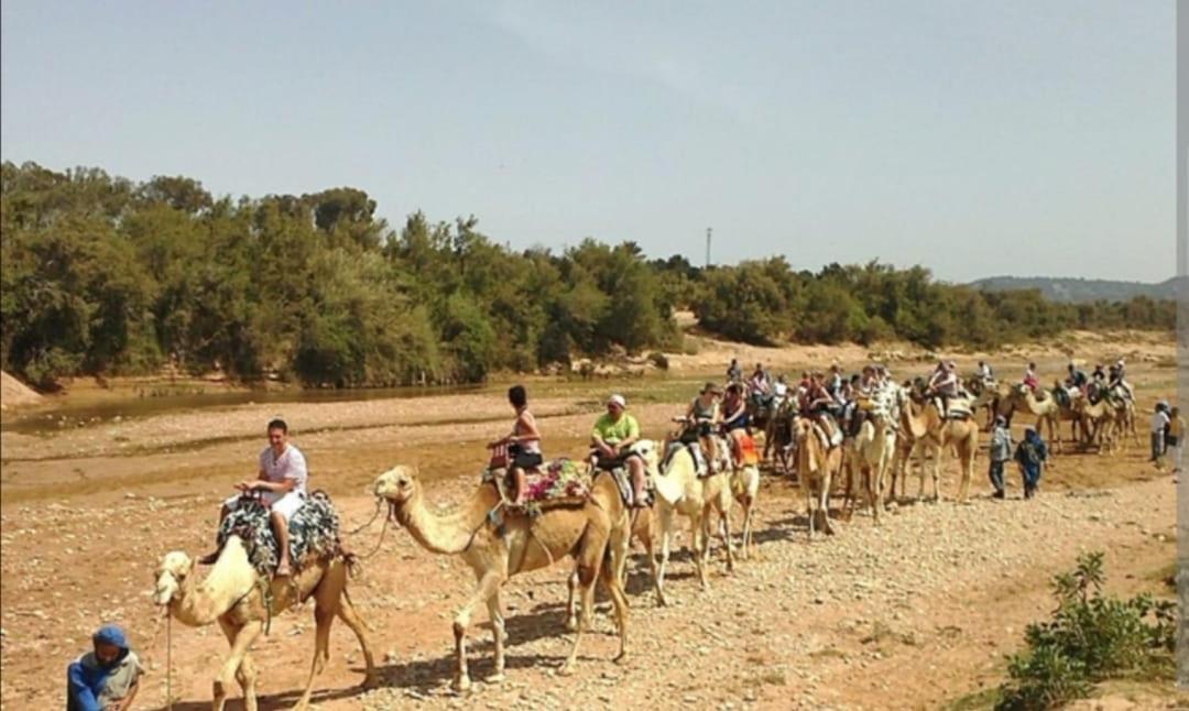 Riad Dar Salam أغادير المظهر الخارجي الصورة