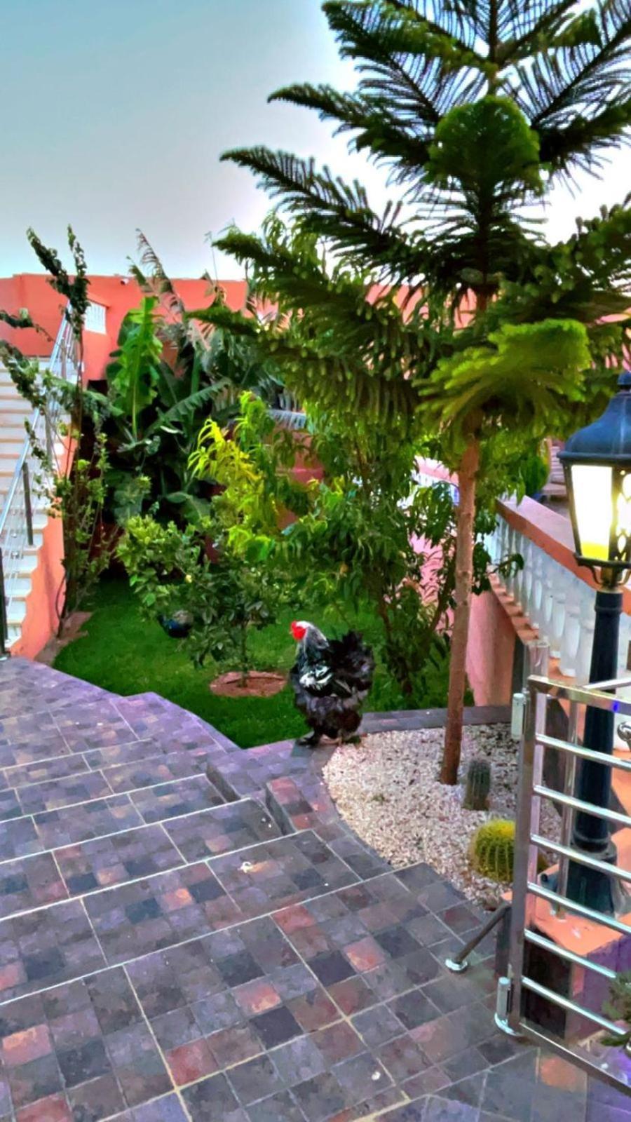 Riad Dar Salam أغادير المظهر الخارجي الصورة